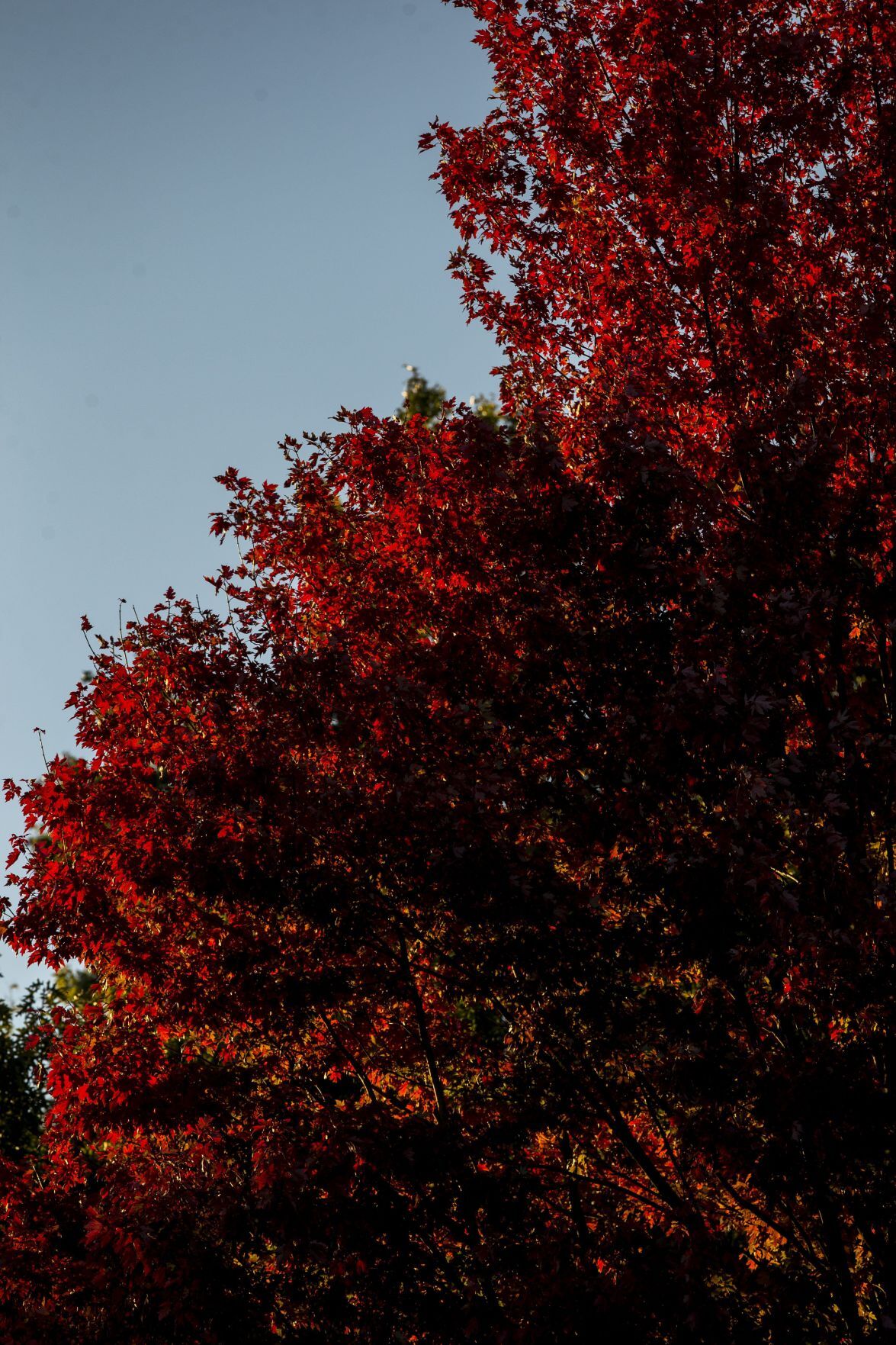 Fall colors start to pop